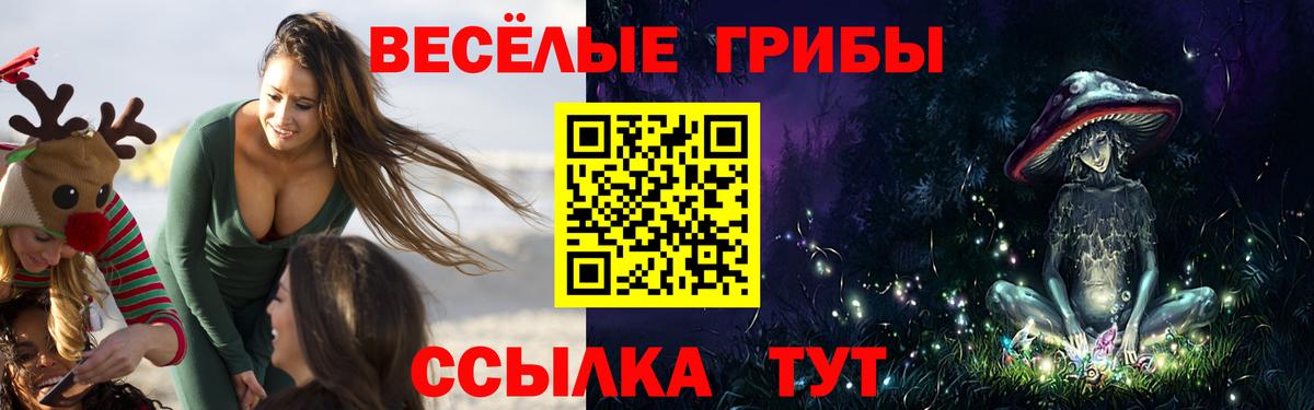 Псилоцибиновые грибы мицелий  Вход с VPN  Галлюциногенные грибы Psilocybe  закладка  Батайск 